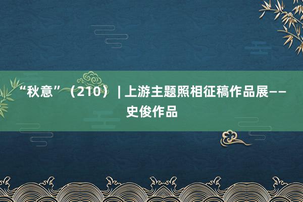 “秋意”（210） | 上游主題照相征稿作品展——史俊作品