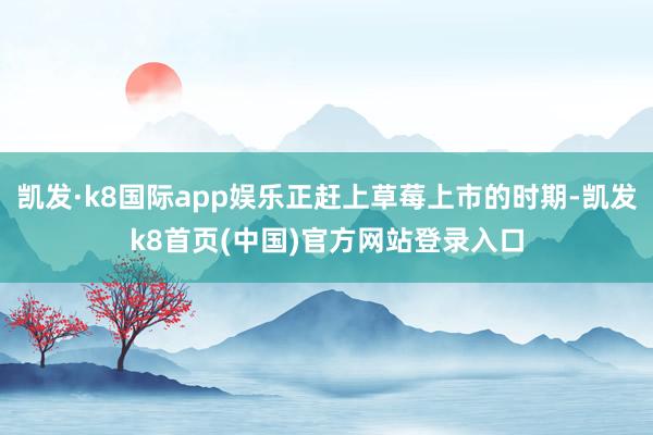 凱發(fā)·k8國際app娛樂正趕上草莓上市的時期-凱發(fā)k8首頁(中國)官方網(wǎng)站登錄入口